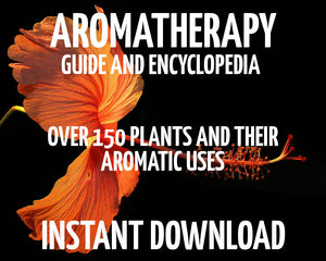 
                  
                    Load image into Gallery viewer, Aromatherapy Guide &amp;amp; Encyclopedia
                  
                