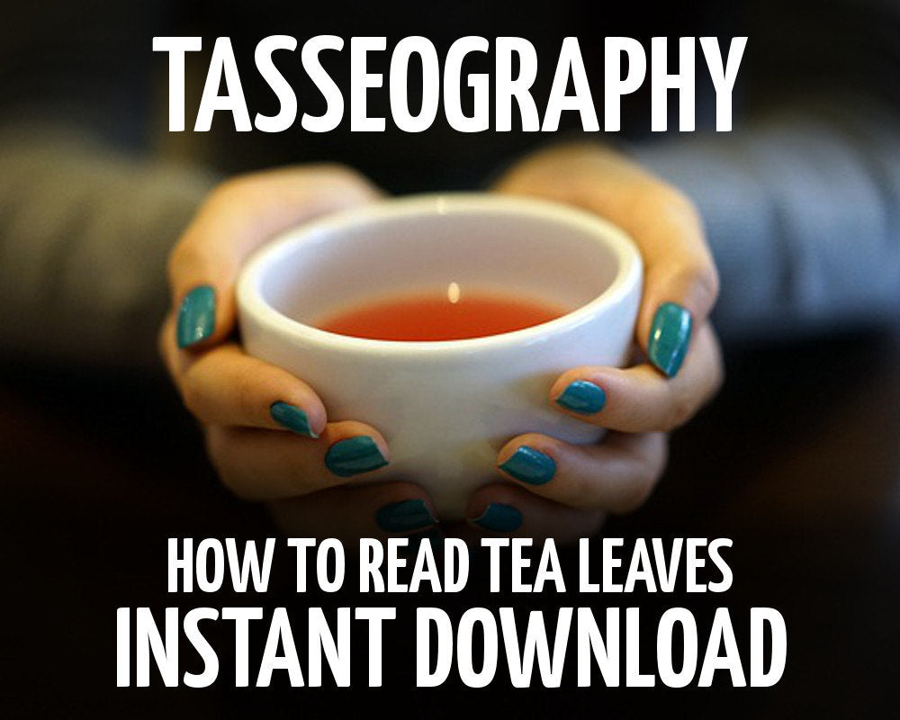 Tasseography - The Art of Tea Leaf Reading: The Witches of Thorn & Moon  (Paperback)